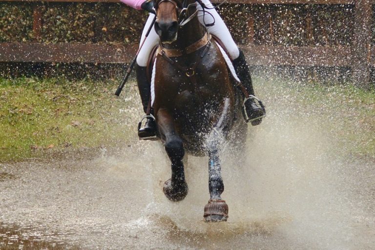 Eventingruiters en officials in overleg over hervormingen in de sport