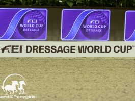 /images/wb dressuur.jpg