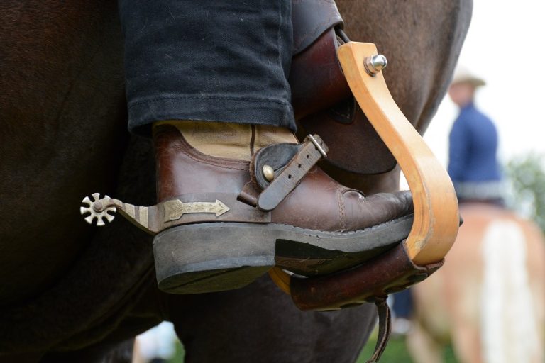 WK Reining: Oranje Young Riders team  zesde, goud voor Duitsland