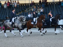 /images/winnaars lichte tour nk 2015.jpg