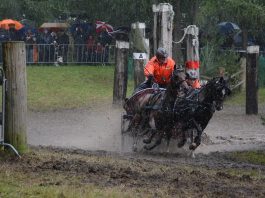 /images/wkponymennen 05092015.jpg