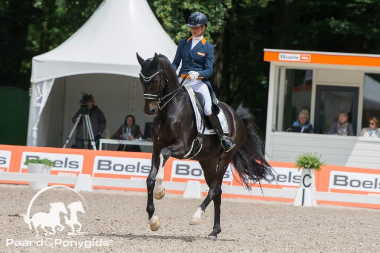 Derde plaats voor Oranje-dressuurteam in Nations Cup Falsterbo