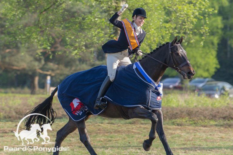 Brigitte Vonk en Guinness winnen NK jachtpaarden en OIHC