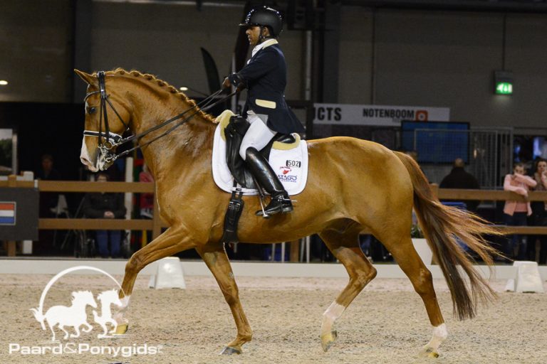 Combinaties KNHS-Witte Van Moort Para Dressuur Trophy Indoor Brabant bekend