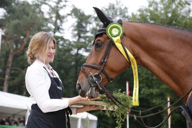 Dutch Youngster Festival opgenomen in Youth FEI Nations Cup