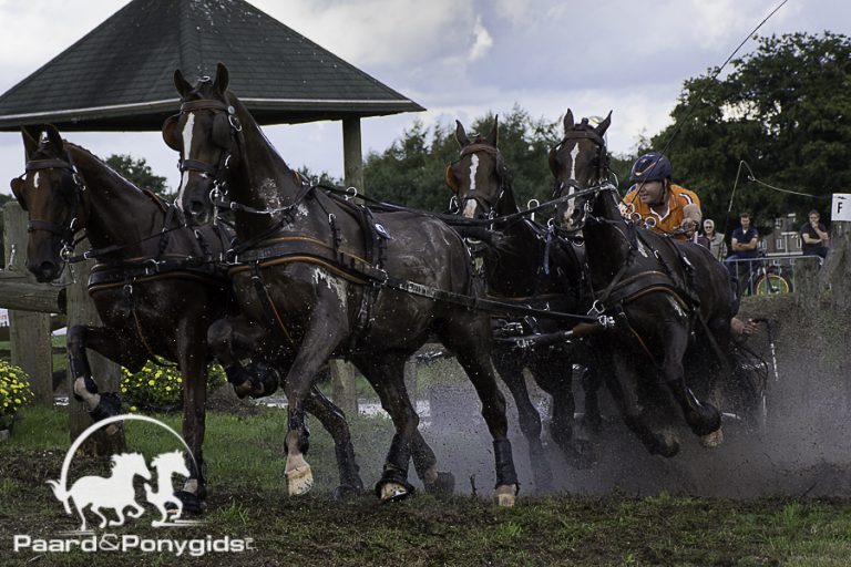 NK Mennen naar Beekbergen, CAIO mennen naar Valkenswaard
