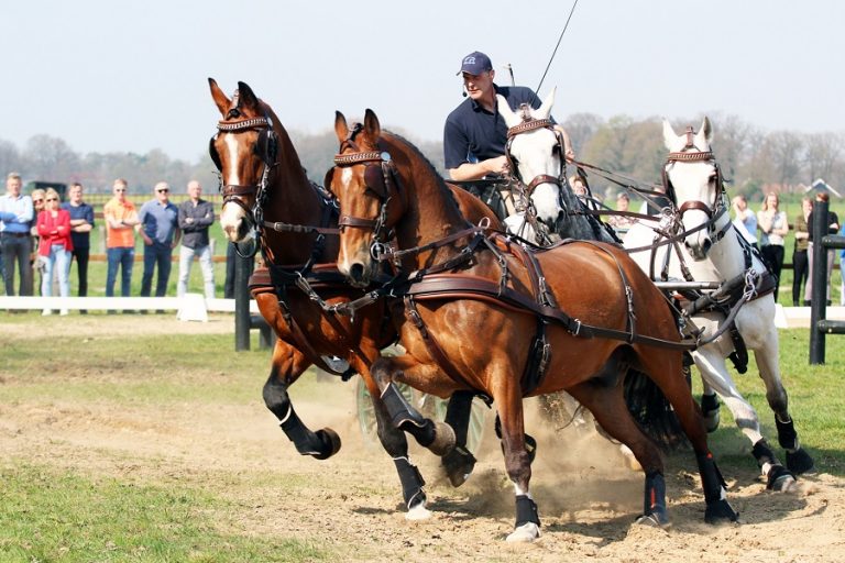 Optimisme troef bij Mark Weusthof