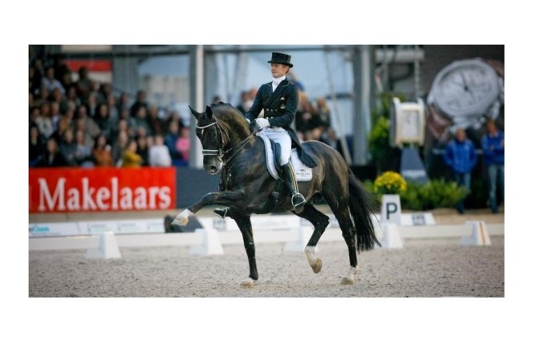 Totilas zorgt voor extra magie tijdens de KWPN Stallion Show