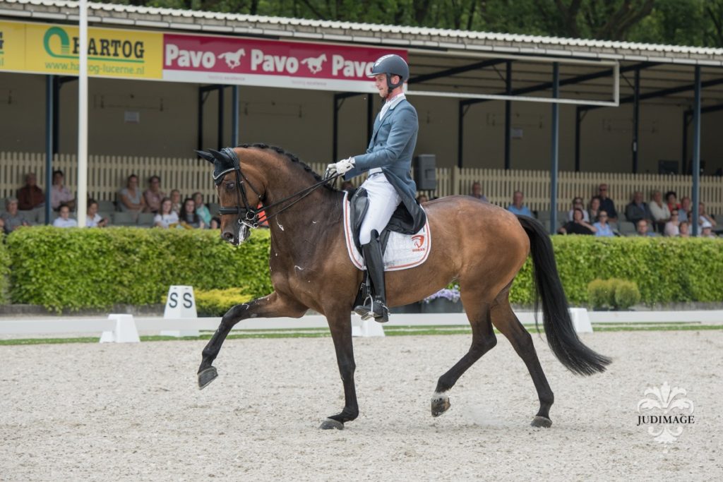 Diderik van Silfhout met Fine Surprice