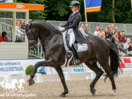 Emmelie Scholtens met Desperado
