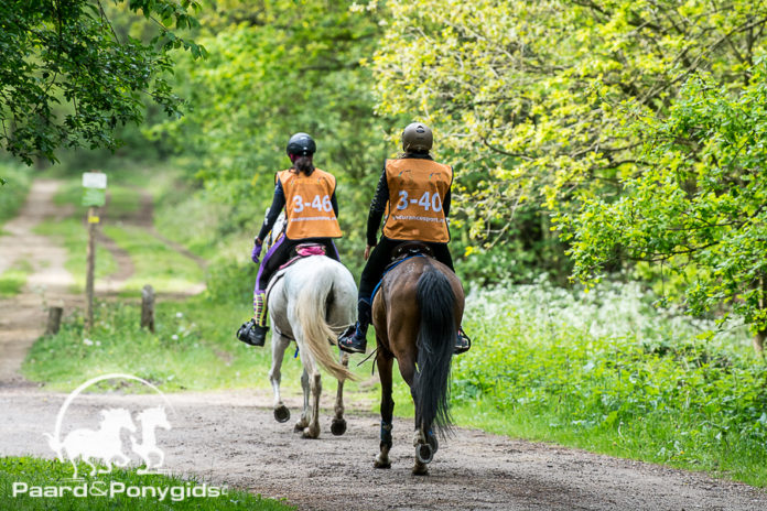 Endurance ©Tabitha de Bie