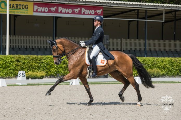 Marten Luiten wint NK dressuur Young Riders