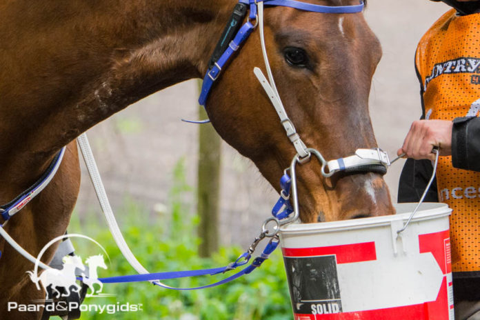 Desiree Warmenhoven wint NK-Endurance voor Jeugd