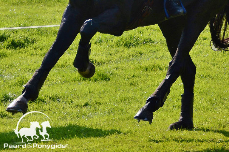 Winnaar Kentucky Derby gediskwalificeerd