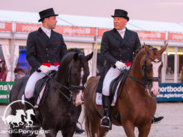 Fotoalbum Dressage Night Outdoor Gelderland