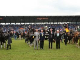 Goud voor Nederlands Vierspanteam in Aken