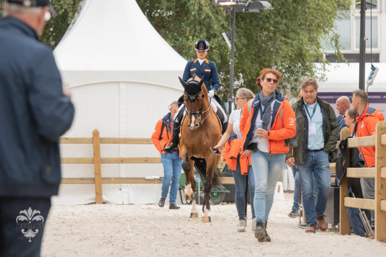 Fotoalbum EK Rotterdam dag 1&2 Grand Prix dressuur