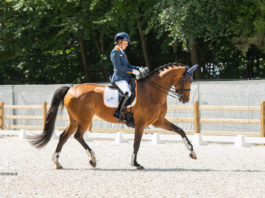 Rixt van der Horst met Findsley