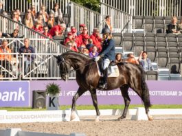 Brons voor Nicole den Dulk