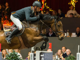 Jeroen Dubbeldam met Oak Groves Carlyle tijdens Jumping Zwolle 2019