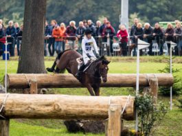 Sandra Auffahrt geeft koppositie niet uit handen