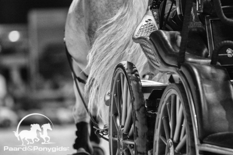 Boyd Exell vergroot afstand in wereldbekerstrijd