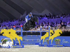 Christian Ahlmann winnaar Memorial Sires rubriek Mechelen 2019