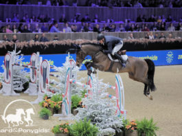Uno-K van t Kattenheye wint 7-jarigen rubriek in Mechelen 2019