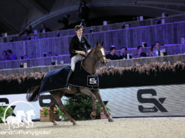 Thibeau Spits wint met Belissimo Z 1.45m in Mechelen 2019