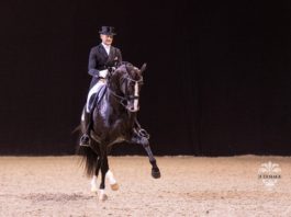 Edward Gal wint Inter I met Glock's Total US op Jumping Amsterdam