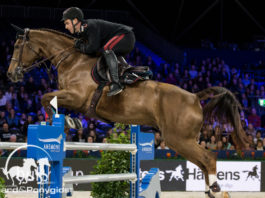 Emanuele Gaudiano met Kingston van het Eikenhof op Jumping Amsterdam 2020