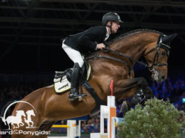 Marcus Ehning wint Telegraaf prijs op Jumping Amsterdam 2020