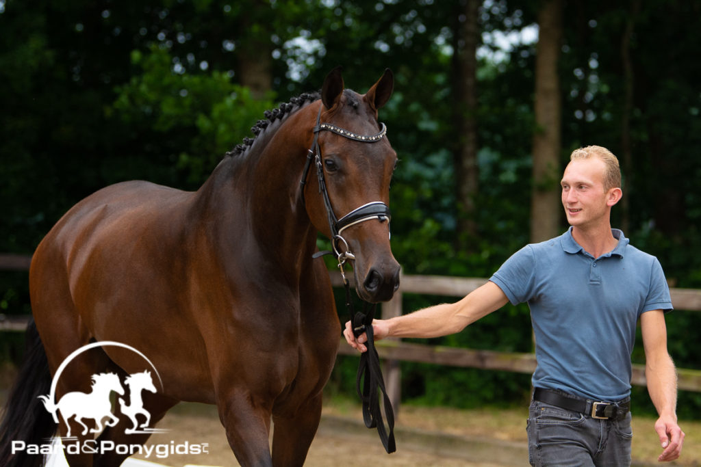 Oefendag MT Stables