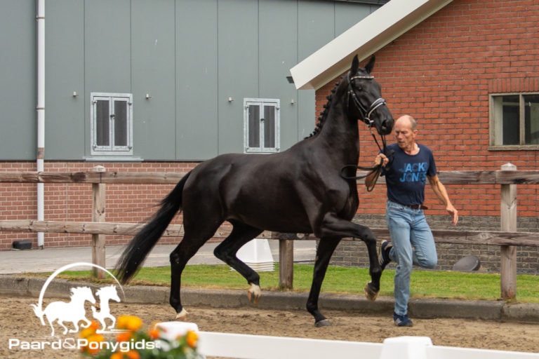 Oefendag bij MT Stables: “heerlijk dat het weer kan!”