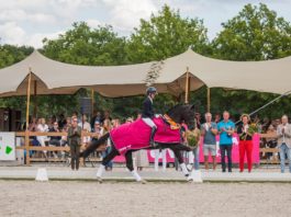 Nasville SW, winnaar Pavo Cup 4-jarigen 2022