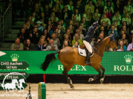 Winnaar Rolex Grand Prix Den Bosch McLain Ward met HH Azur