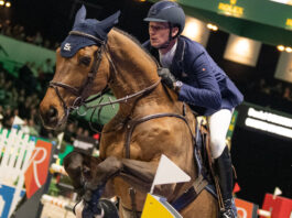 Daniel Deusser ©Paard & Ponygids
